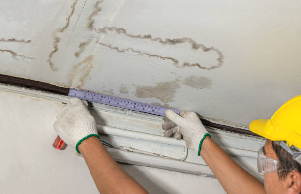 Reliable Water Damage contractor in Auburn, KS by Water Damage Irwin